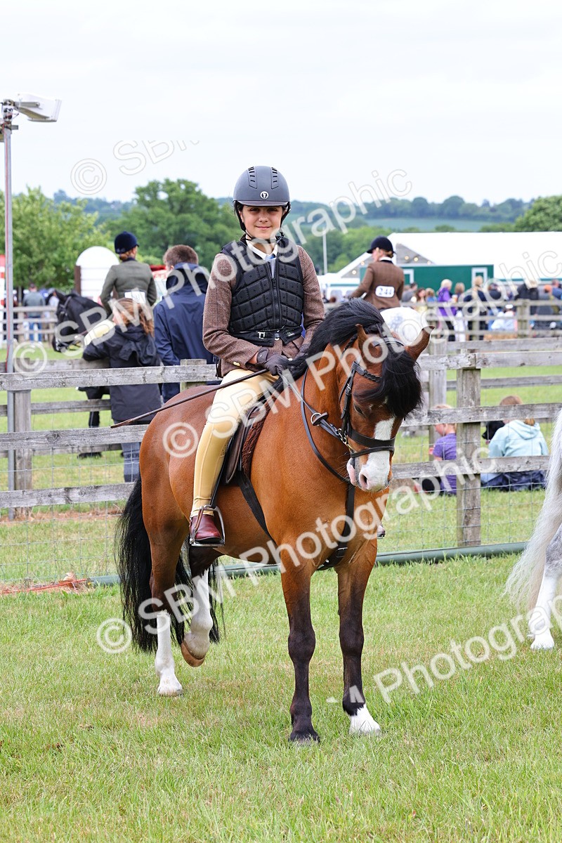 SBM_08787 - Class 42-43 - LIHS BSPS Heritage Working Sports Pony