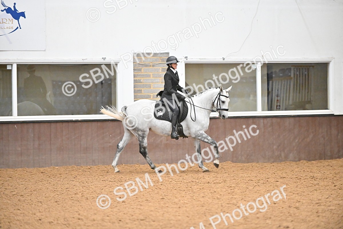 SBM_002660 - Class 28,29 - Ridden Irish & Coloured