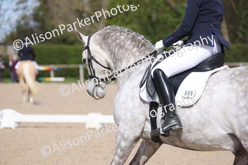 20260405-0184 - Class 3 - Novice 5