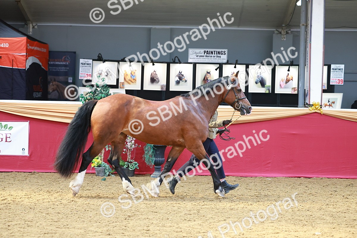 SBM_04186 - Class 9R - IH Pre-Vet