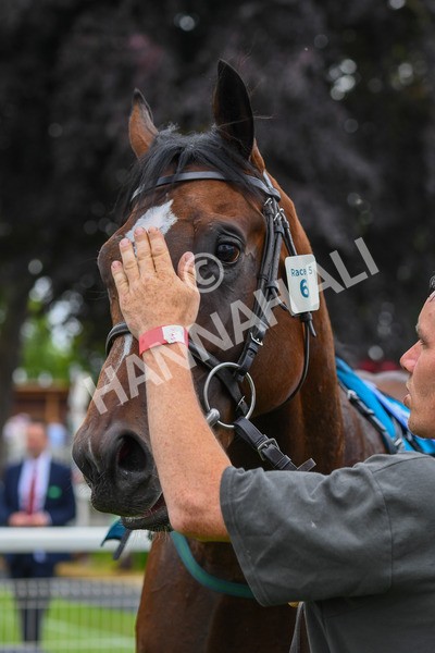 170623-Race 5-Twilight Romance-0823 - Race 5 4.15pm Reg Griffin Appreciation ebfstallions.com Maiden Stakes