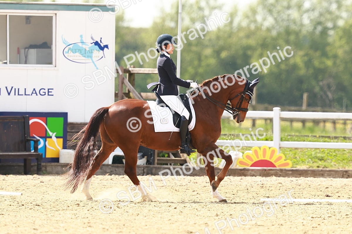 SBM_002956 - Class 13 - Medium 5