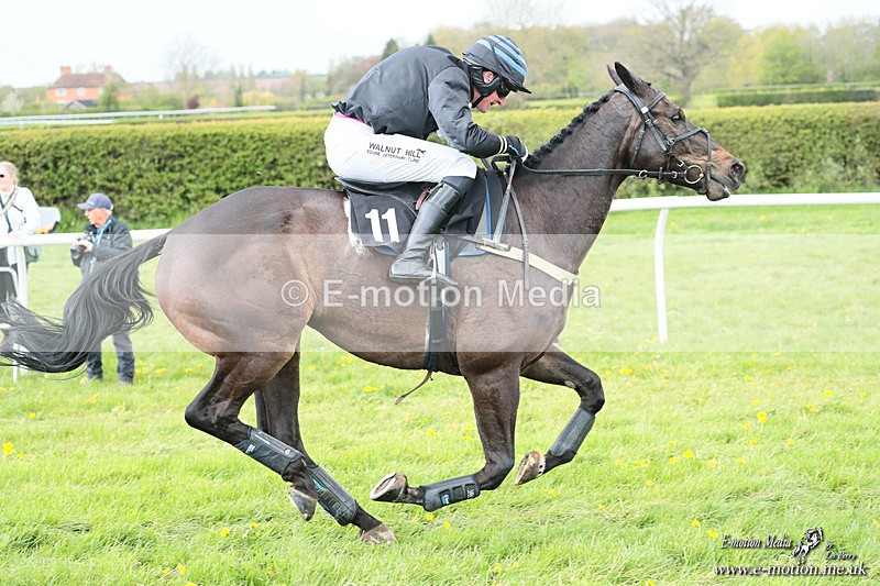 PtP 180426 580 - Worcestershire Hunt PtP Chaddesley Corbett 18/04/26