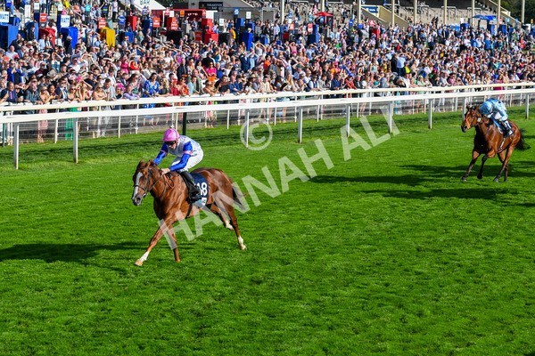 240823-Race 7-Nigiri-0872 - Race 7 5.20pm British EBF 40th Anniversary Fillies' Handicap