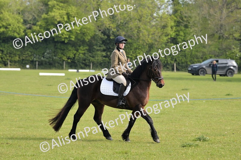 20260426-0913 - Class 18 - Novice Showing