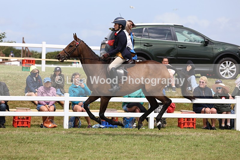 3E7A2376 - Class 11: Retraining of Racehorse