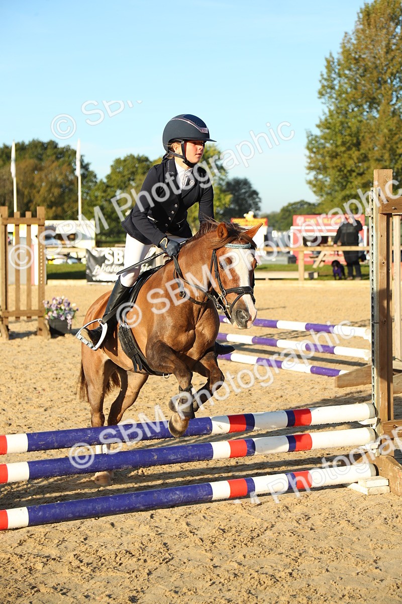 SBM_34879 - J5 - Junior Pony 50cm Championship