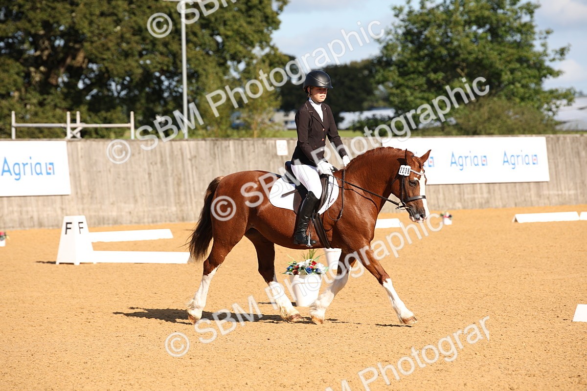SBM_01907 - D2 Small Tour Championship Intro C