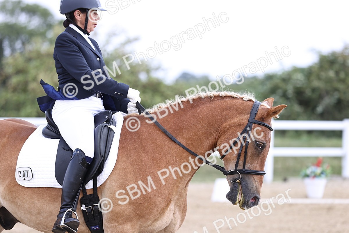 SBM_016764 - Class 14 Novice 23 - 11.53-12.56