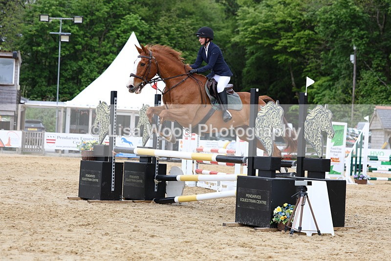 3E7A6254 - Class 4: Senior British Novice/90cm open