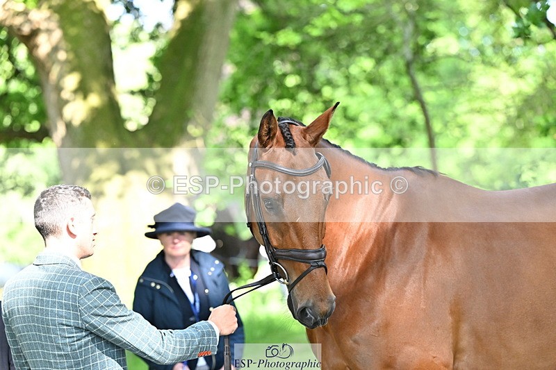 250521A-163922-01261 - C-251-Freddie.Carden-MBF.VITAL.FINESSE