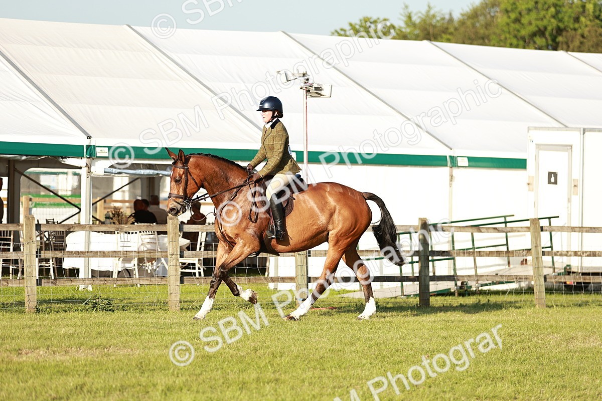 SBM_20479 - Class 117-119 - Sport Horse Working Hunter
