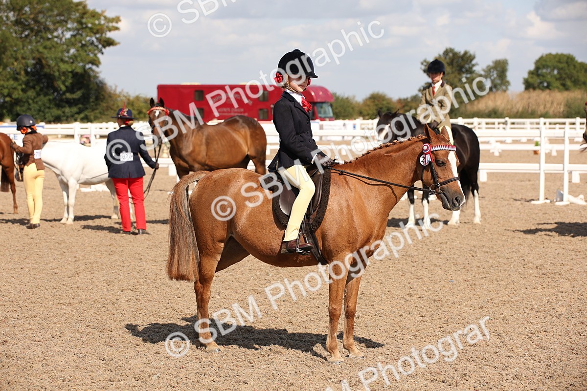 SBM_03046 - Class 17 Prettiest Mare IH or Ridden