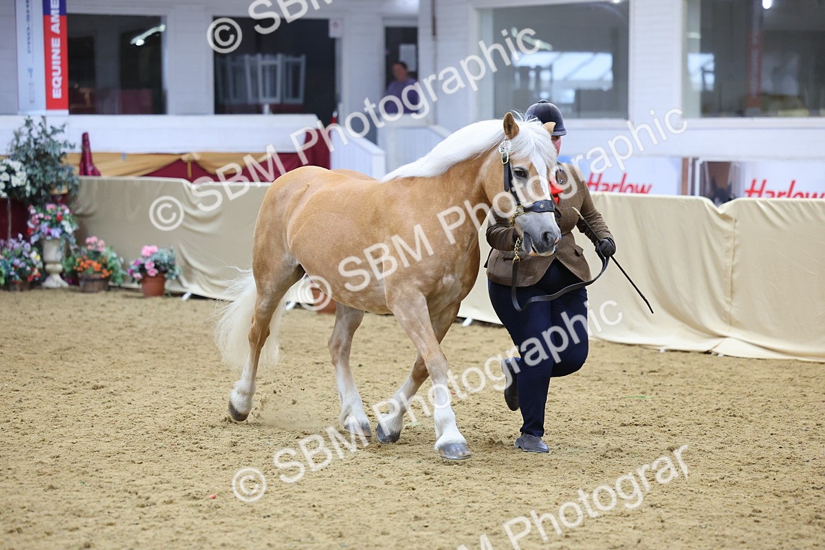 SBM_21078 - Class 902 - Supreme Final IH Veteran