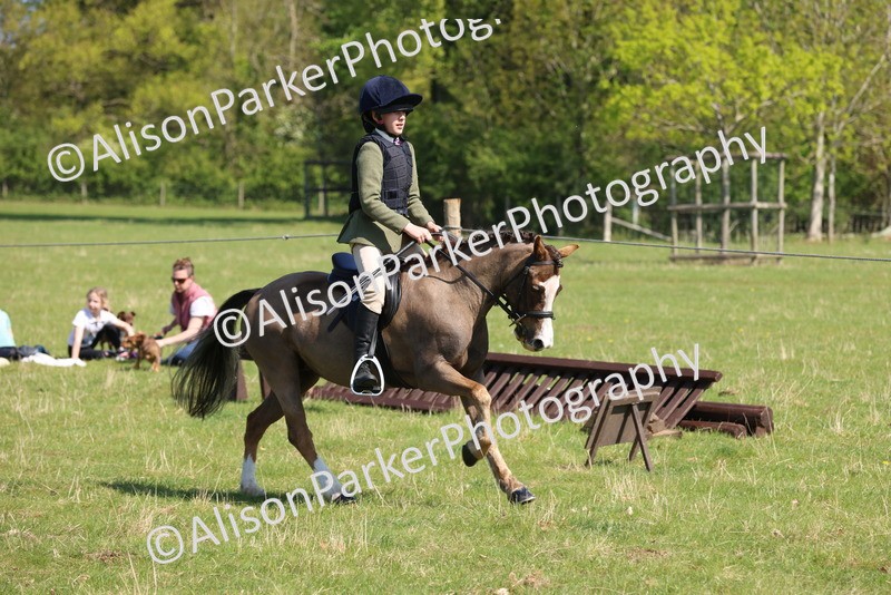 20250427-2468 - Class 19 - Mini Working Hunter