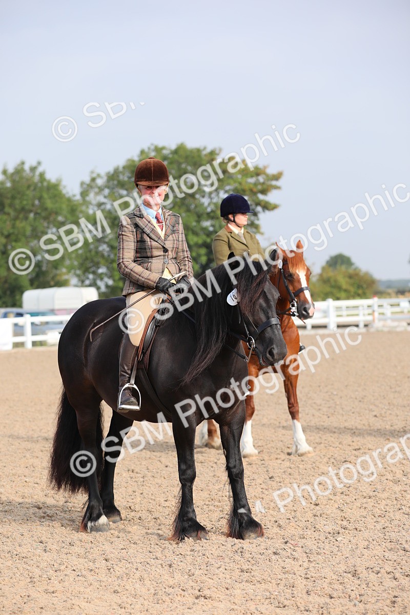 SBM_10128 - Class 302 Ridden M&M -Large Breeds