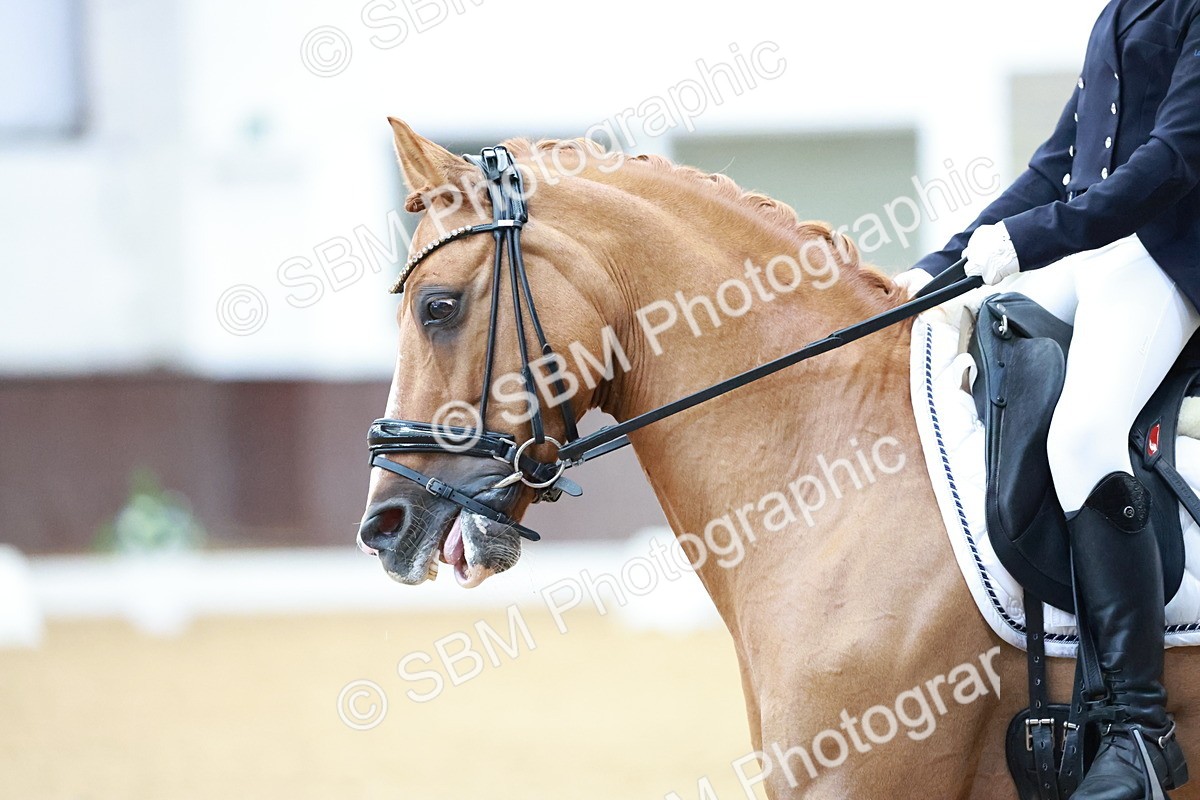 SBM_017063 - Class15 - FEI Pony