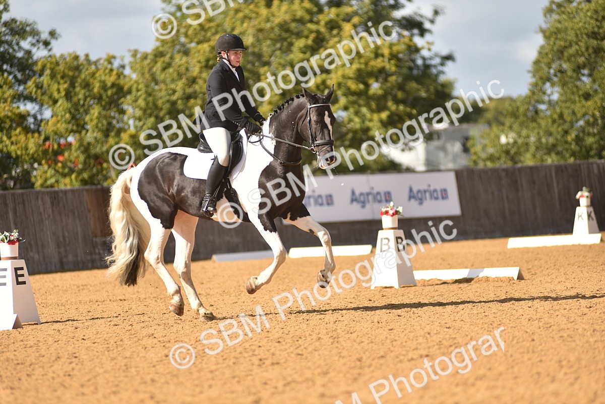 SBM_24319 - D4 - Small Tour Championship Intro 4