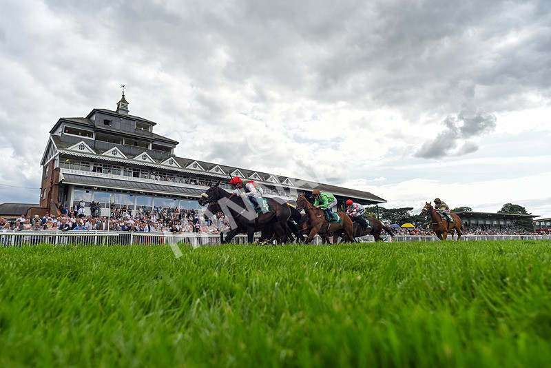 170724-Race 5-Abruzzo Mia-1706 - Race 5