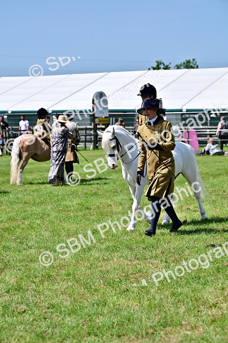 SBM_05913 - Class 59-60 - TSR M&M  Lear Rein and First Ridden Amateur of the year