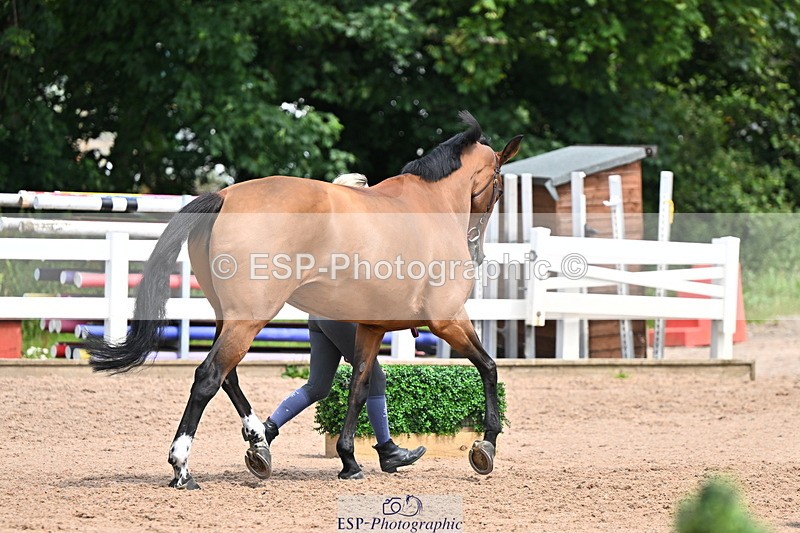 240718A-105304-01520 - Trot Up 12pm to 1pm