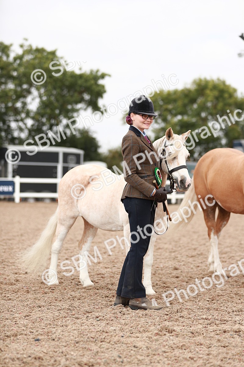 SBM_12561 - Class 207 IH M&M