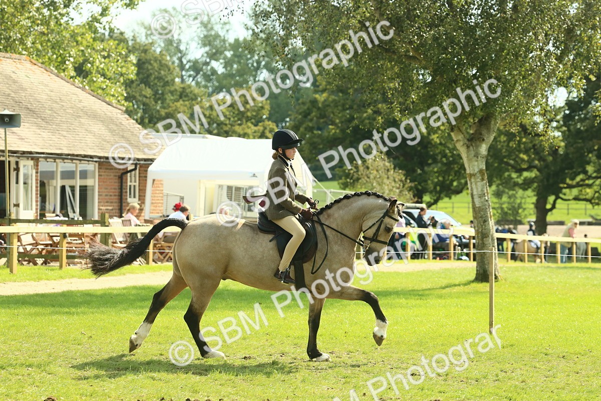 SBM_67627 - S56 - Coloured Pony Ridden