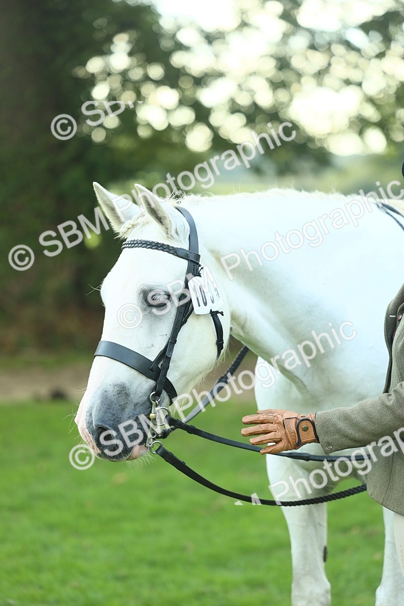 SBM_50721 - S33 - Working Hunter & Working Show Horse