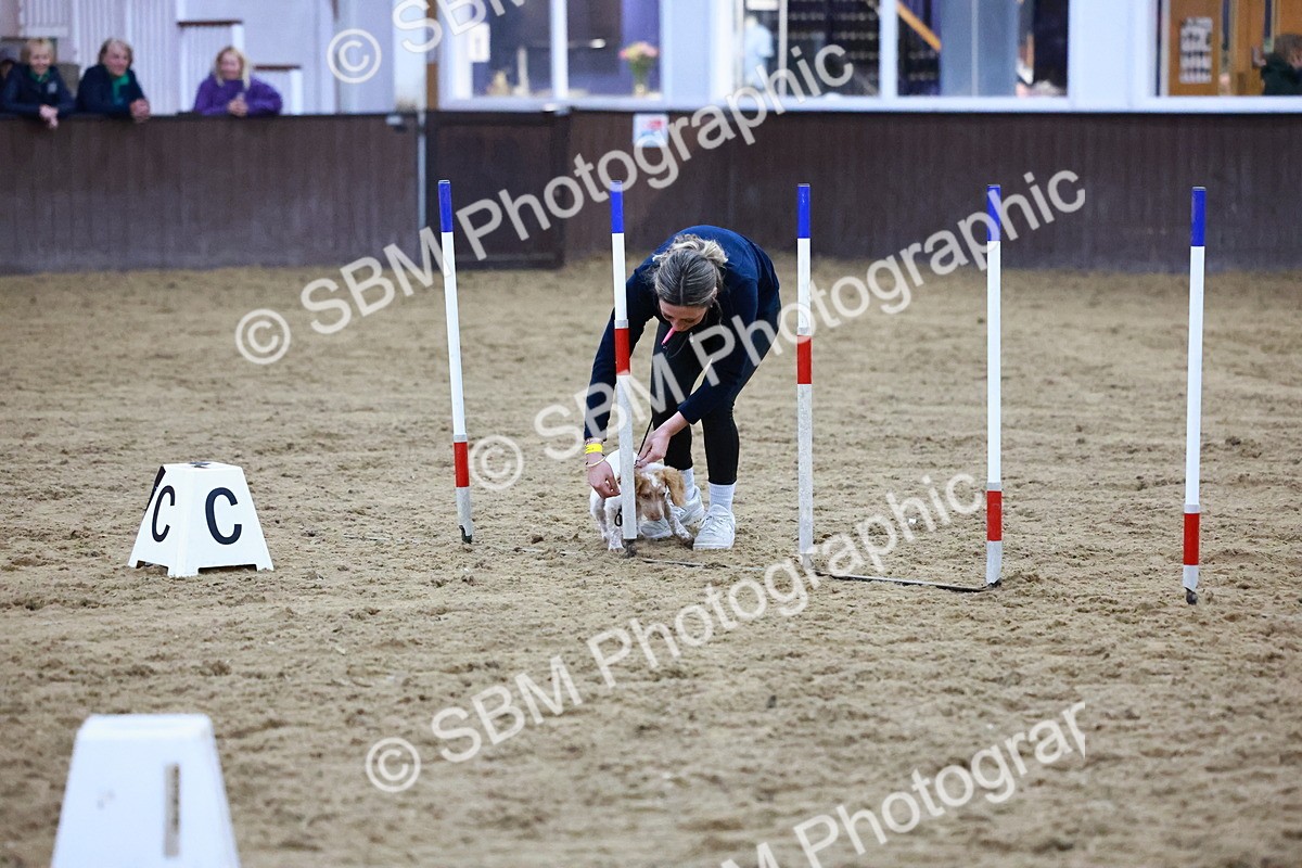 SBM_006190 - Evening Performance