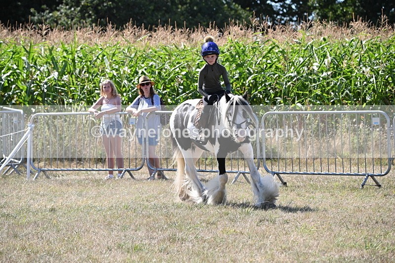 WJ6_8965 - Class 38 Ridden Riding Horse/Pony