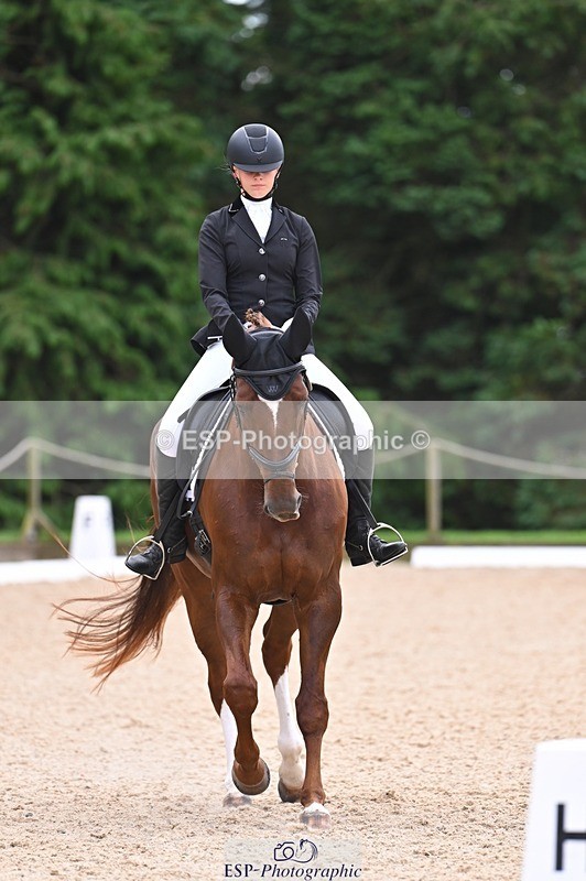 240809-121835-00735 - 185-Daisy.Hedges-Felicia.v