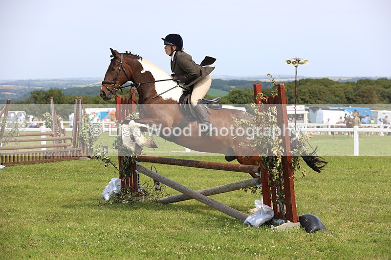 JPP_3640 - Class 23: Working Hunter 80cm