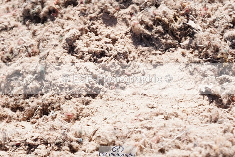 250503-145730-01602 - Cls 29 Winter-Summer