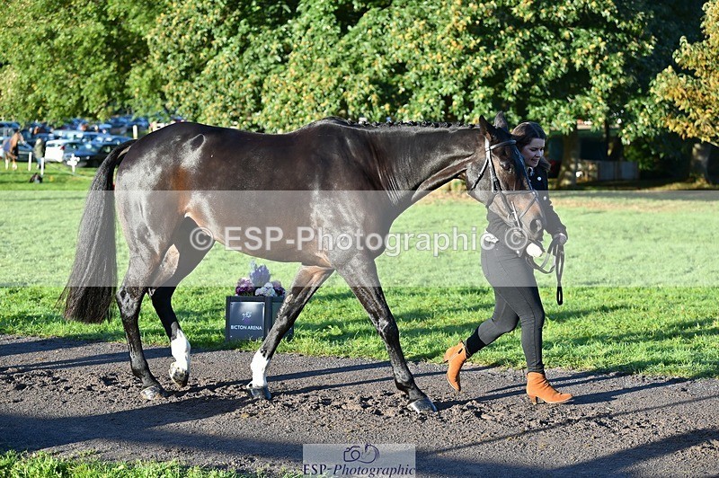 231022-091224-21614 - 671-KILCLOGHER.DAWSON-Lucy.Griffiths-TrotUp+SJ