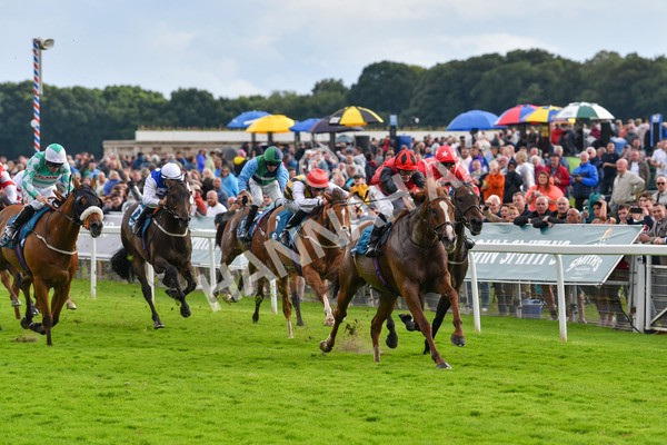 150723-Race 7-Roundhay Park-8889 - Race 7 5.30 pm John Smith's Sprint Handicap
