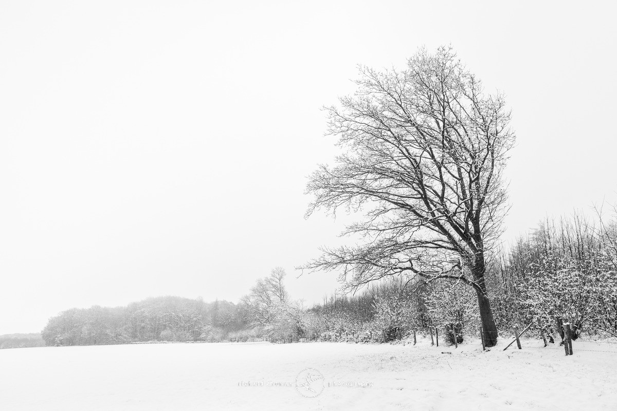 Weathermore snow view. - WINTER
