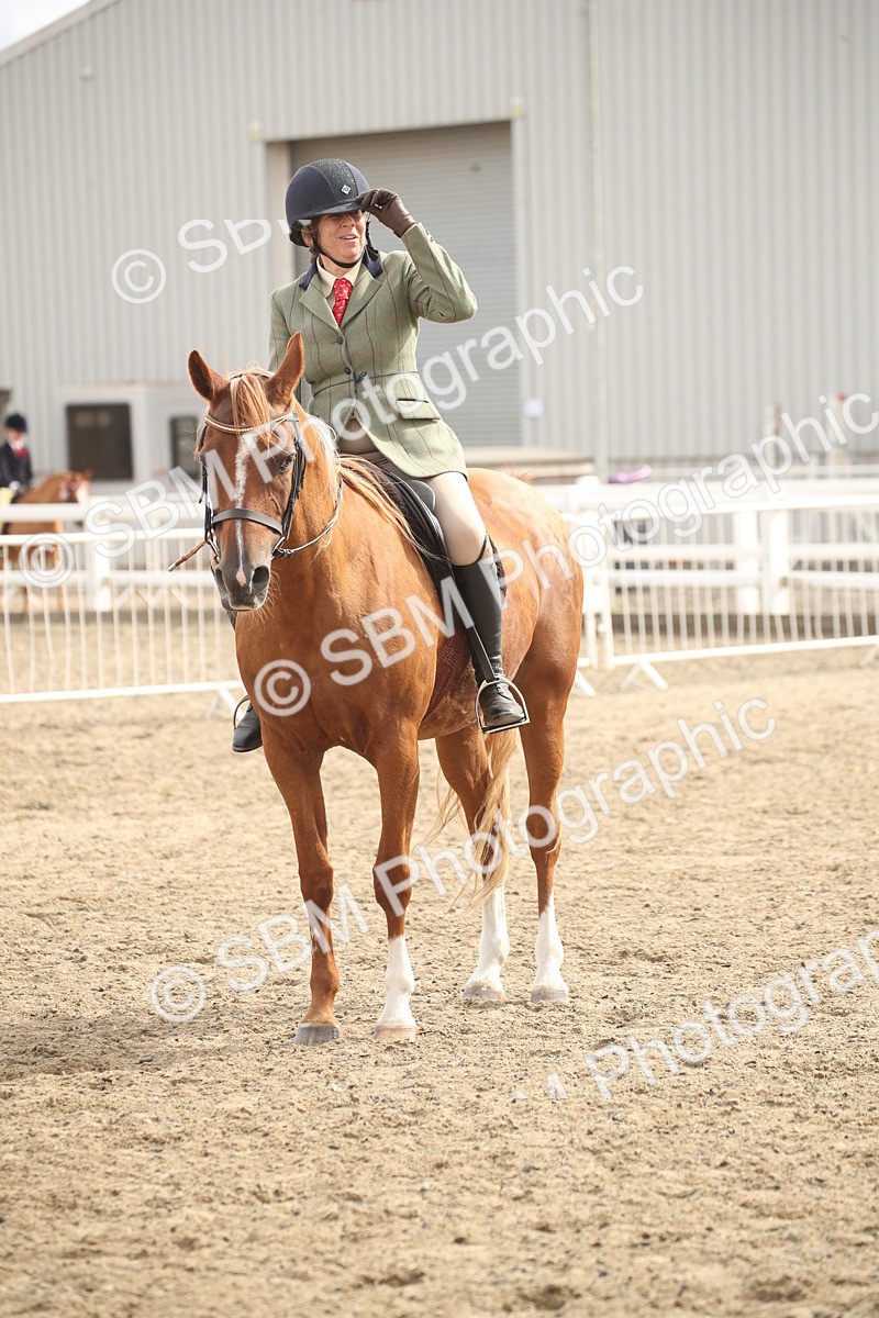 SBM_17858 - Class 508b - Working Veteran 70cm (20+)