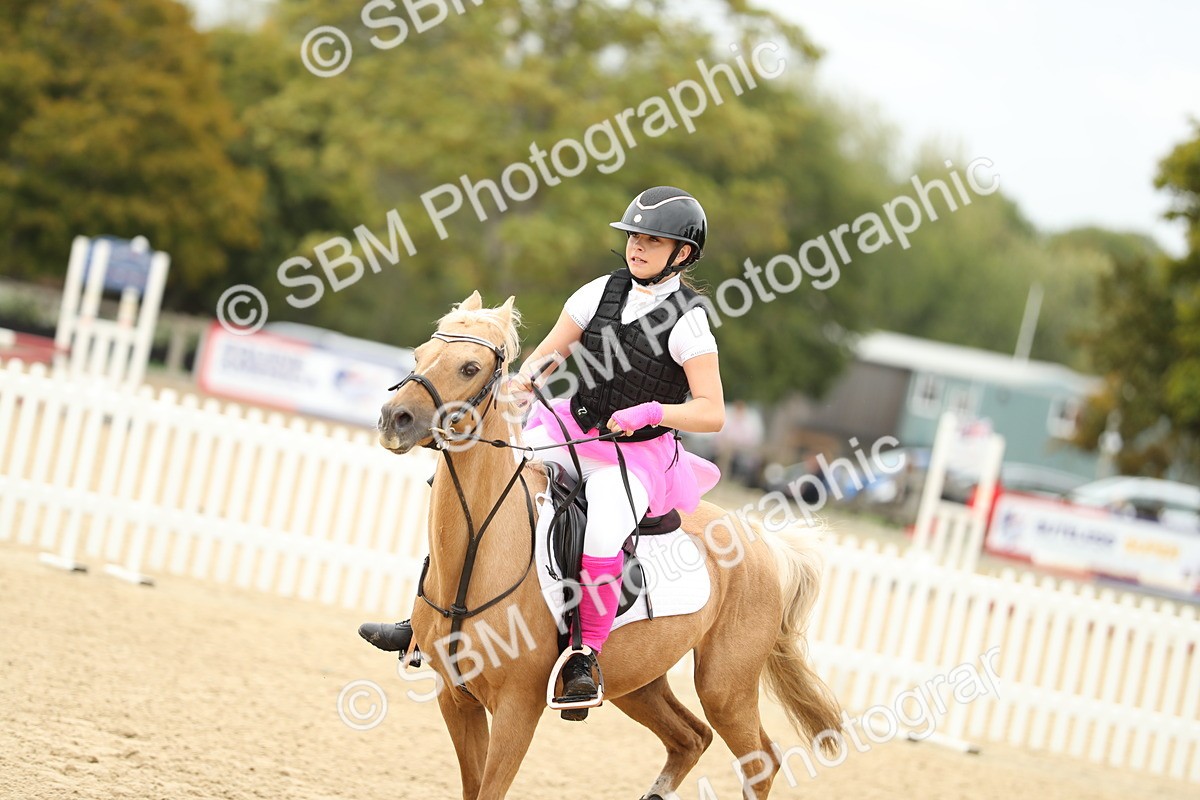 SBM_65789 - J48 - Pairs Jumping Open 70cm & 85cm