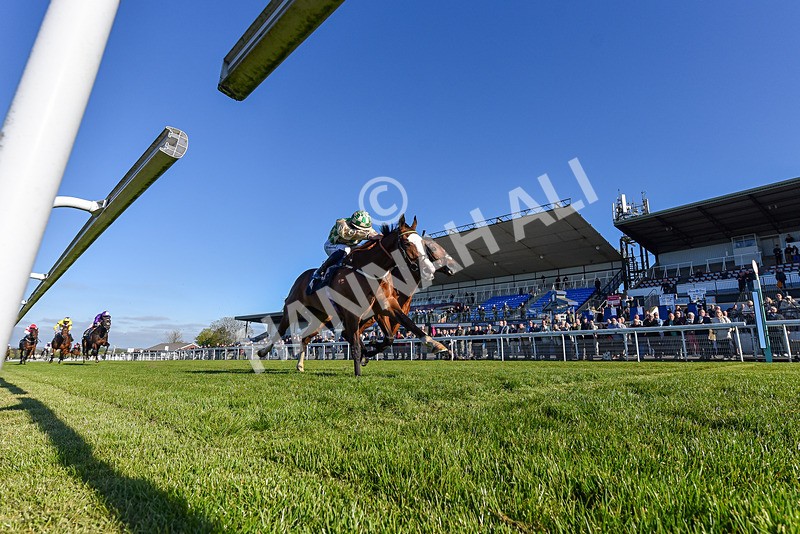 230426-Race 8-Barbury Boy-6588 - Race 8