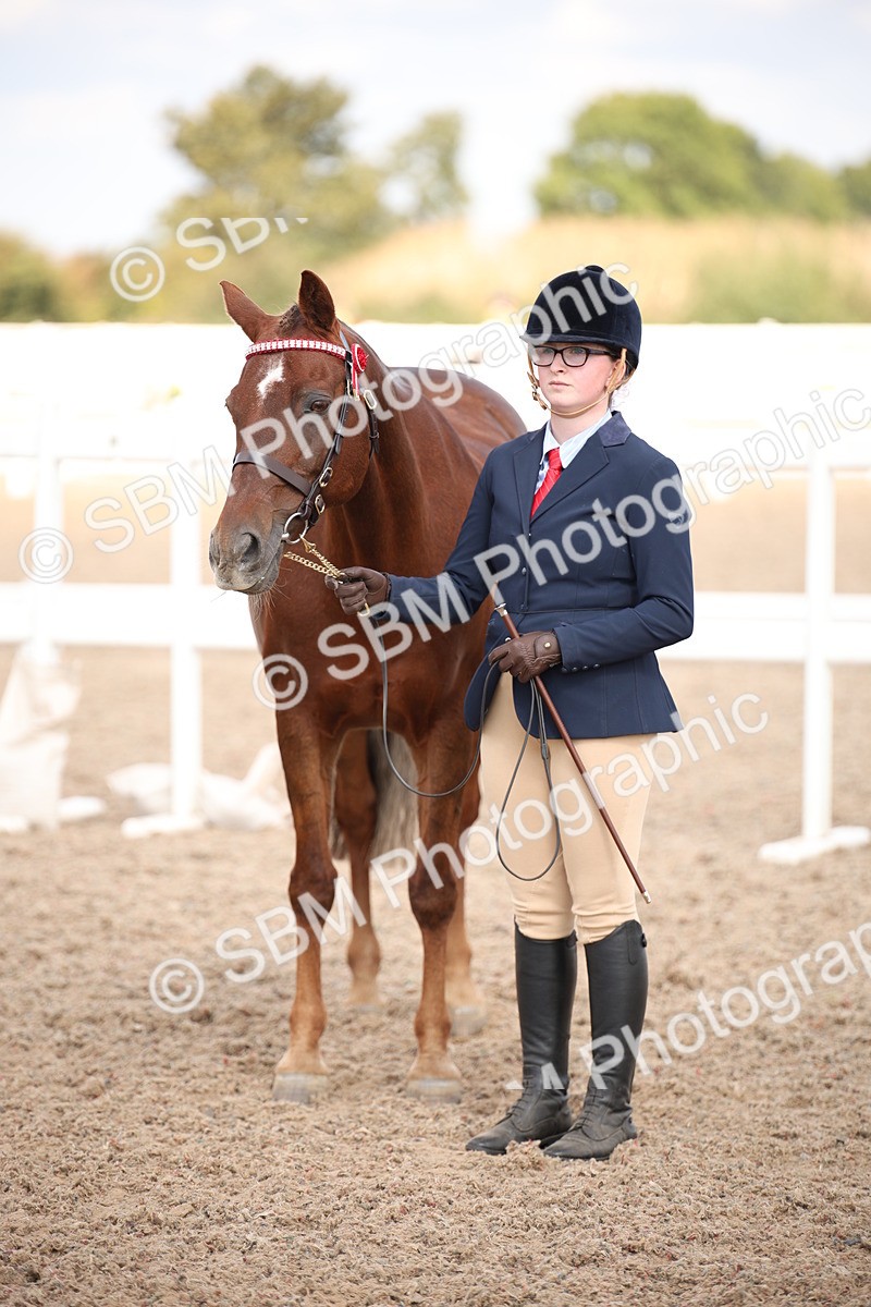 SBM_03752 - Class 19 Judge's Favourite