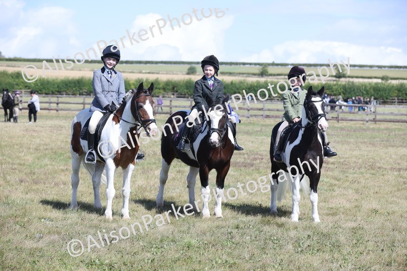 20250831-2589 - Class 16 - Family Pony