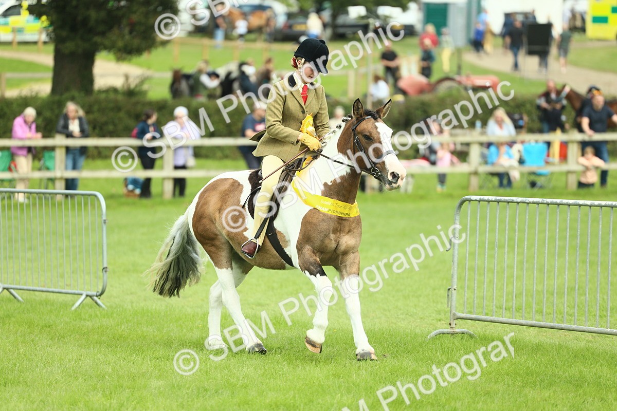 SBM_42263 - S29 - Novice & Newcomers Working Hunter Pony