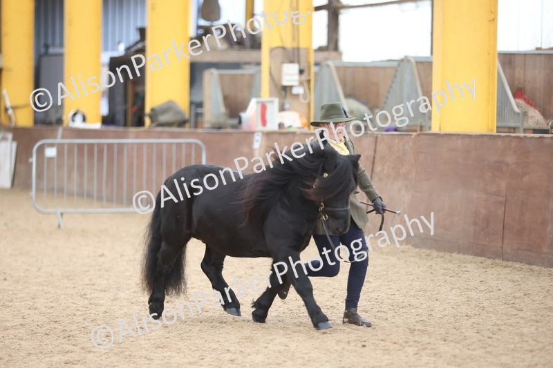 20251109-1230 - Supreme Championship