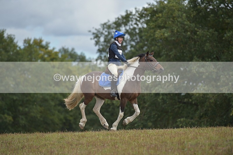 NGP_1312 - XC Time 10:38 to 10:51