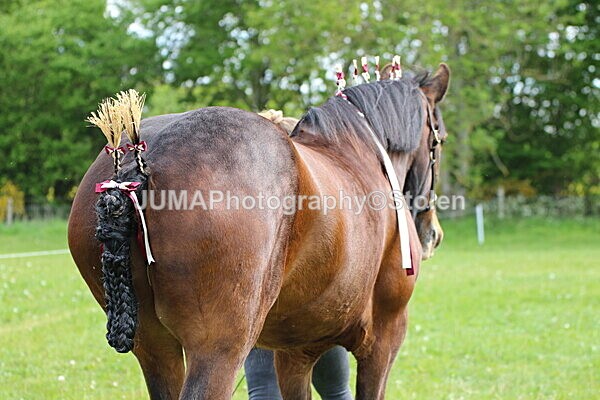 SIAL2828 - Ring 3 and 4