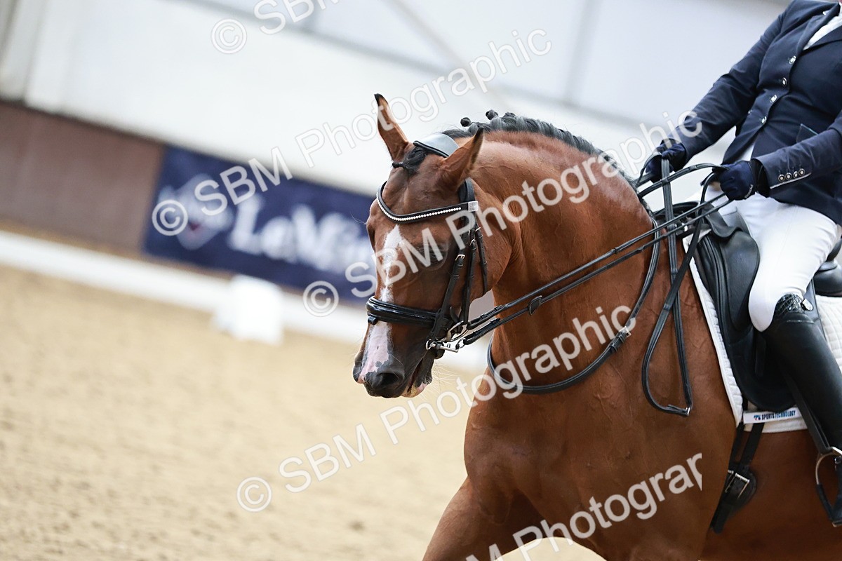 SBM_014087 - Class 7 - Ele FSM Bronze 12.12.13.08