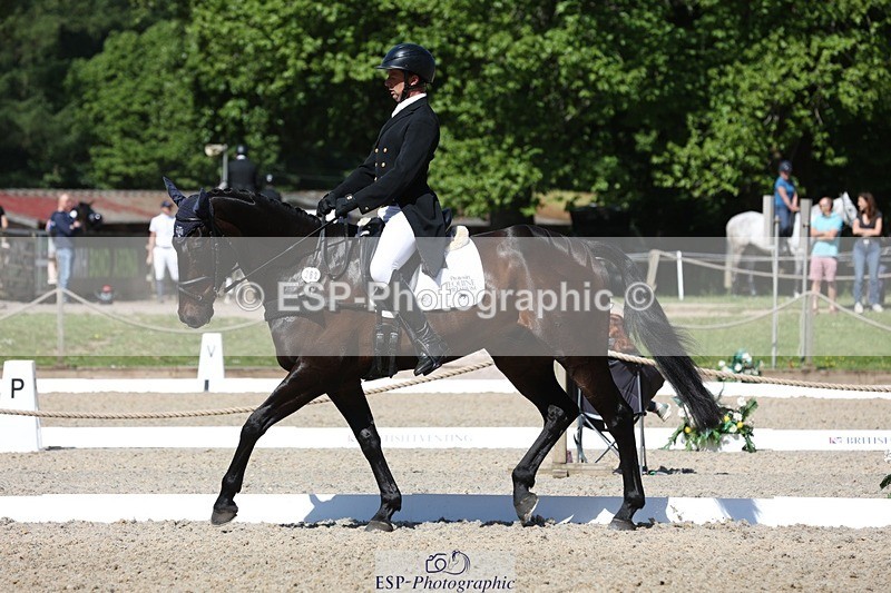 230526-103120-05275 - 362-SPIRIT'S_GEMINI-Harry_Dzenis-WEDTrotUp+DR