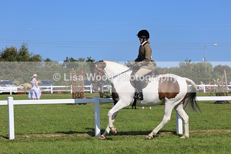 IMG_1652 - Skewbald and Piebald Ridden Championship