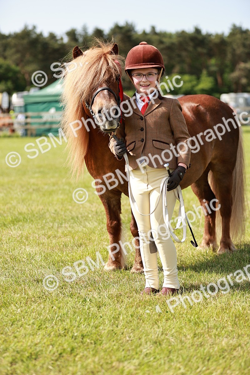 SBM_01852 - Class 14-23 - Mountain & Moorland In Hand Non Welsh