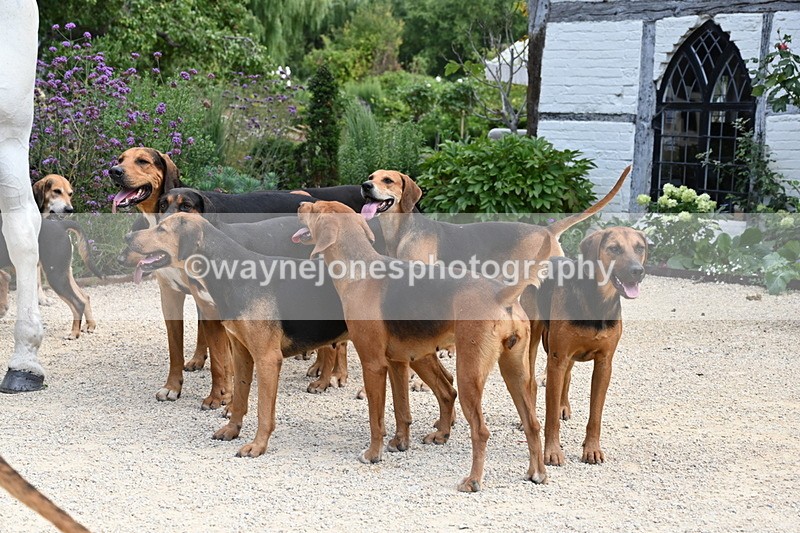 WJ6_3833 - Berks & Bucks - The Old farmhouse - Hound Exercise 20-08-25
